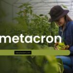 BetaMetacron: Exploring the Next Digital Frontier