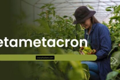 BetaMetacron: Exploring the Next Digital Frontier