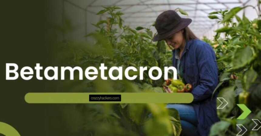 BetaMetacron: Exploring the Next Digital Frontier